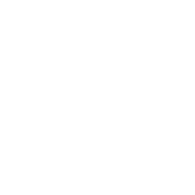 Care Best Initiative